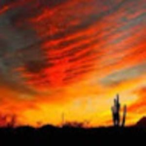 Meet your Posher, Ella